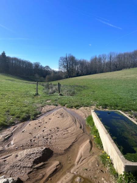 Eligibilité parcelle de compensation de Zones humides à Bordeaux et en Aquitaine